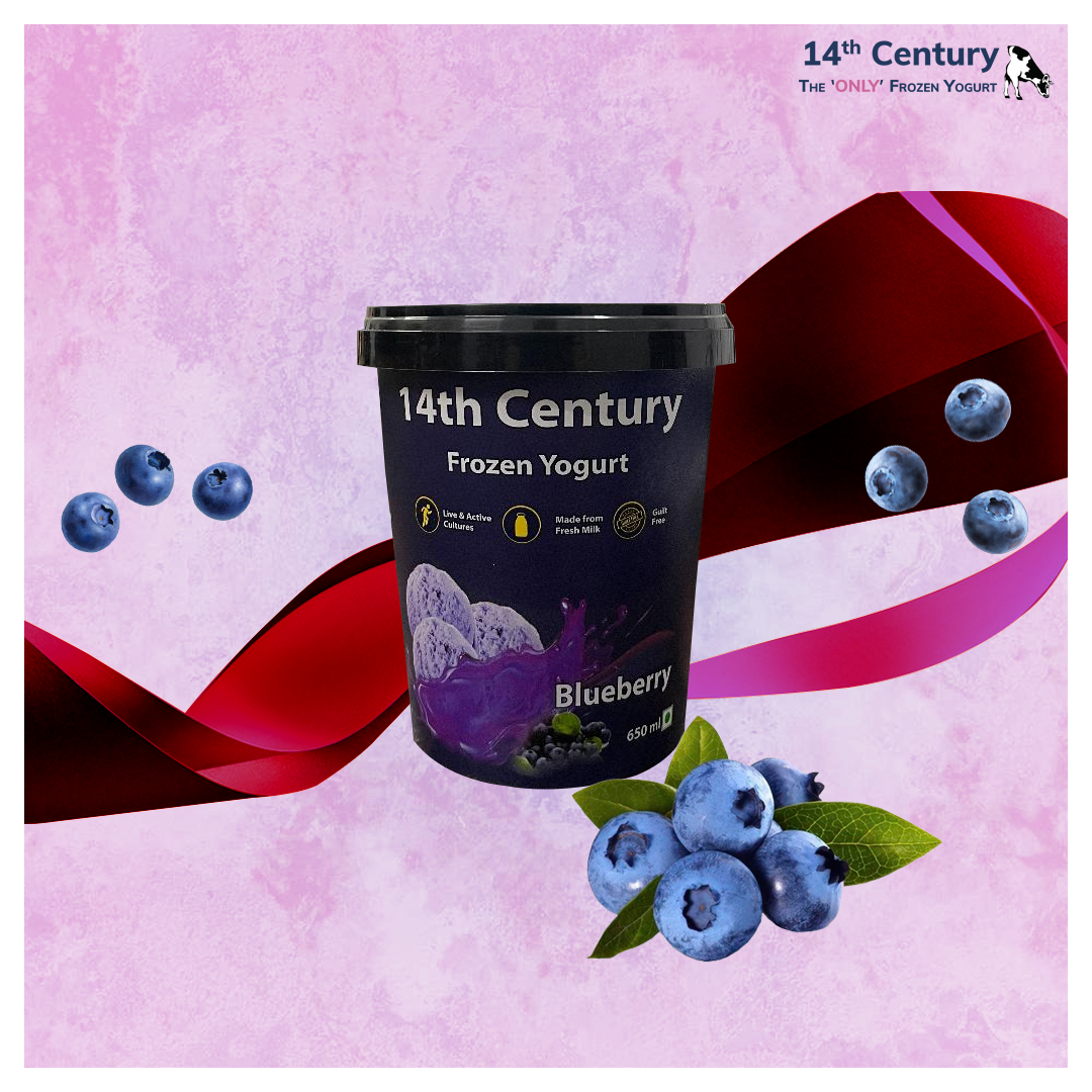 Blueberry Frozen Yogurt Tub